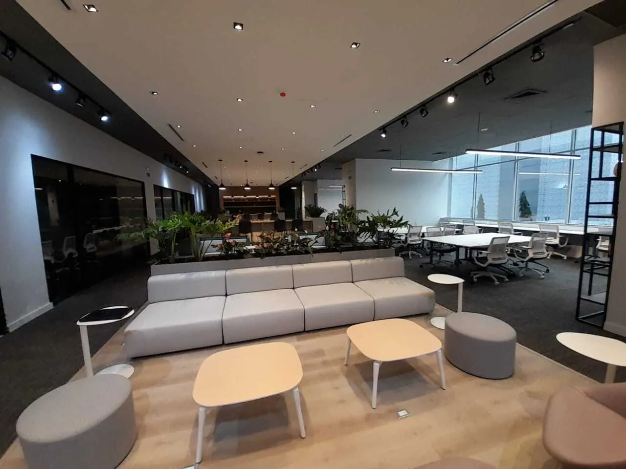Coworking TDLA — imagen 3