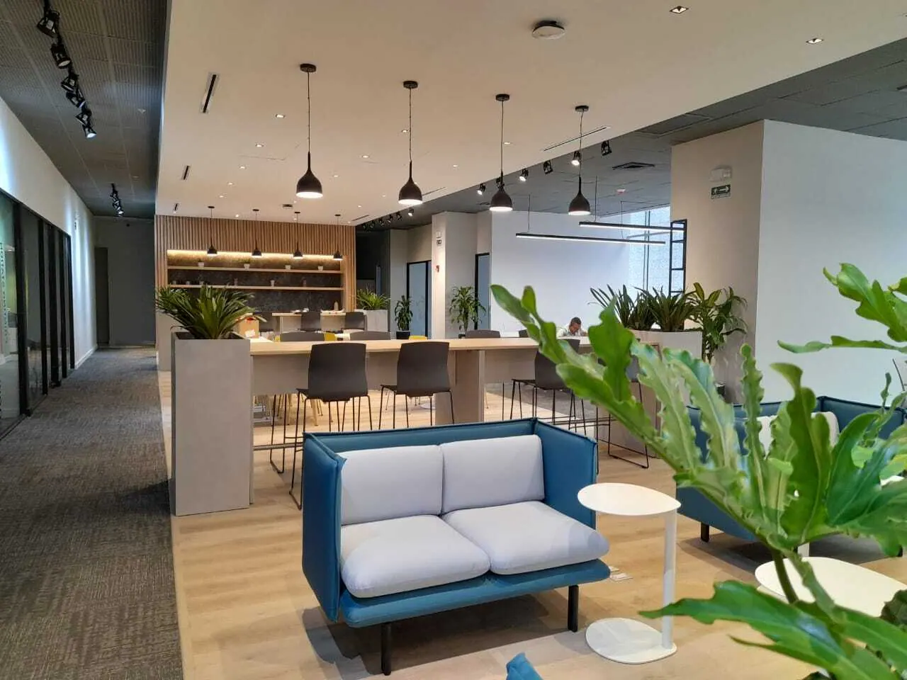 Coworking TDLA — imagen 1